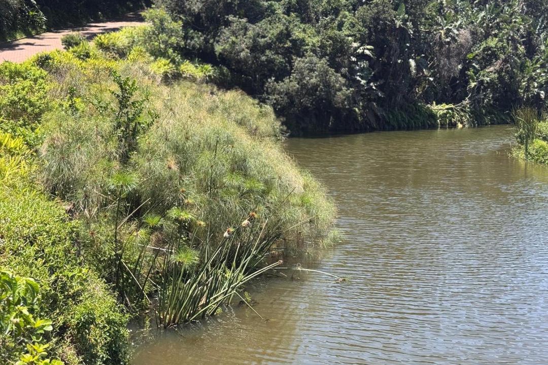 Photo of Others in Zimbali Coastal Estate