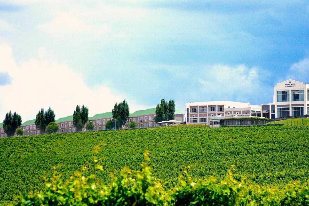 Photo of Others in Stellenbosch