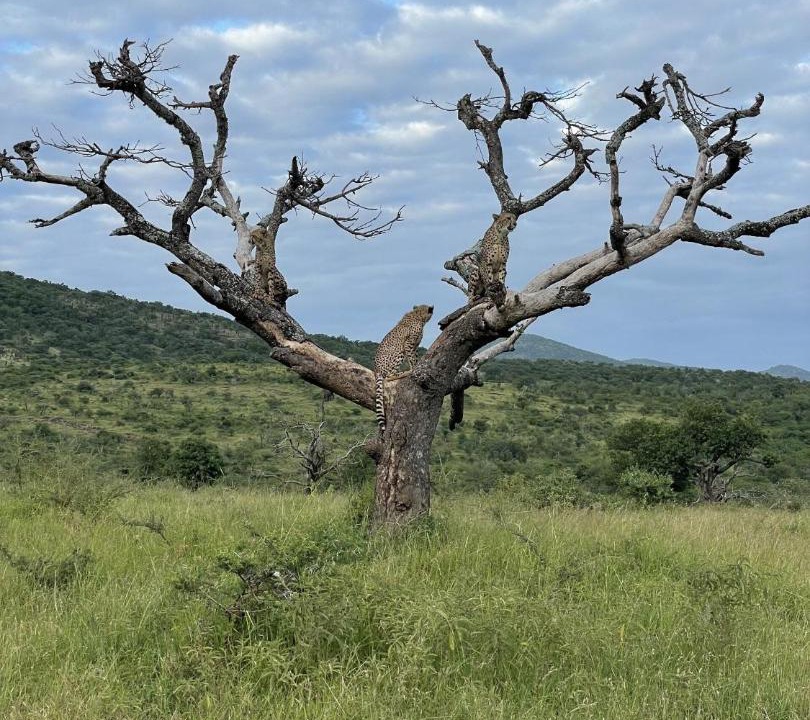 Photo of Others in Jozini