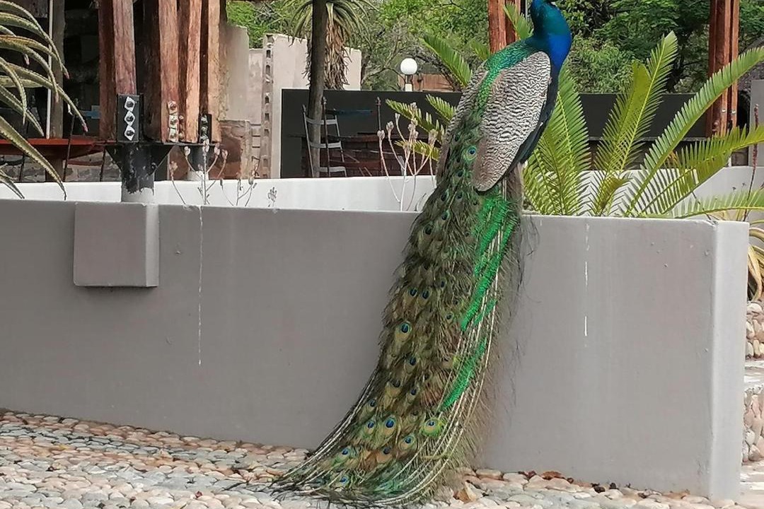 Photo of Others in Jozini