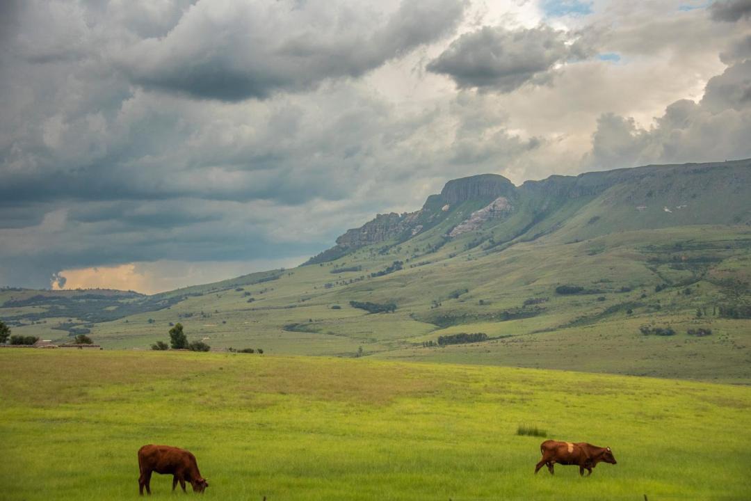 Photo of Others in Maluti a Phofung