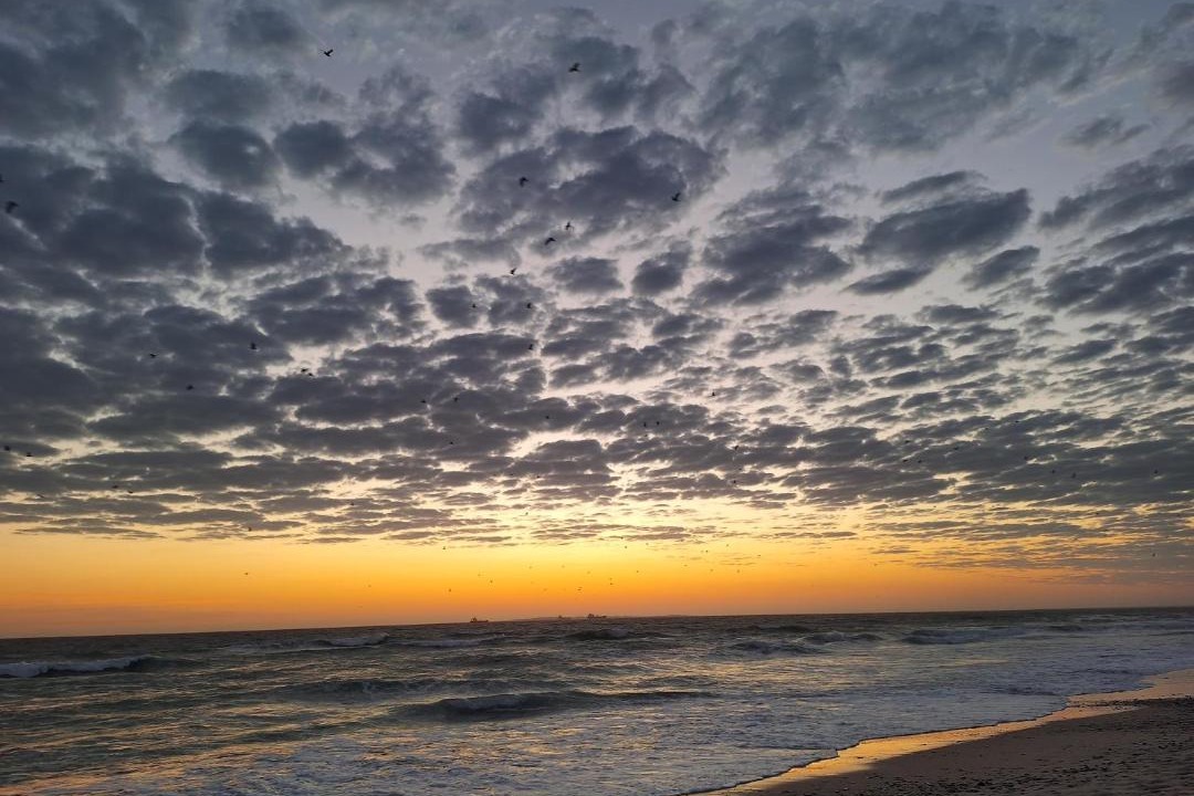 Photo of Others in Sunset Beach