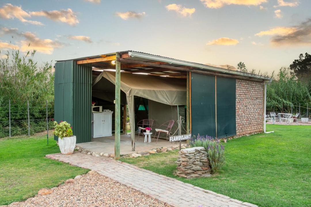Photo of Others in Schoemanshoek