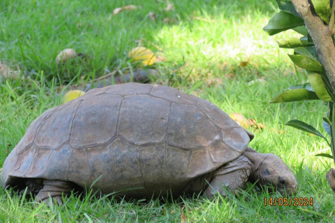 Photo of Others in Caledon