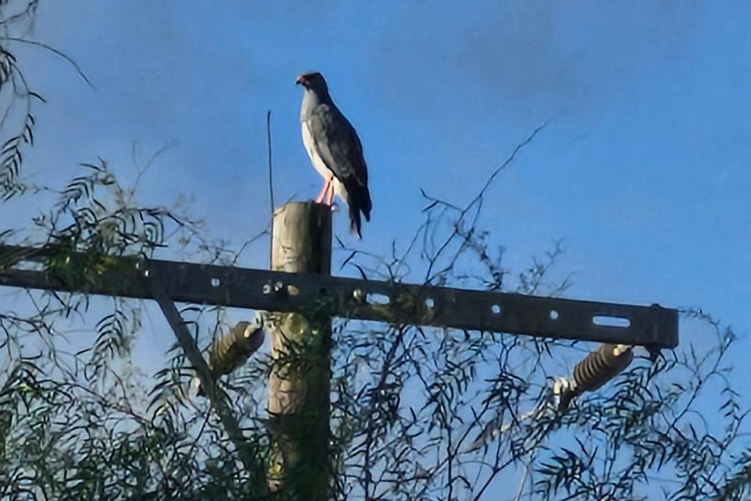 Photo of Others in Addo