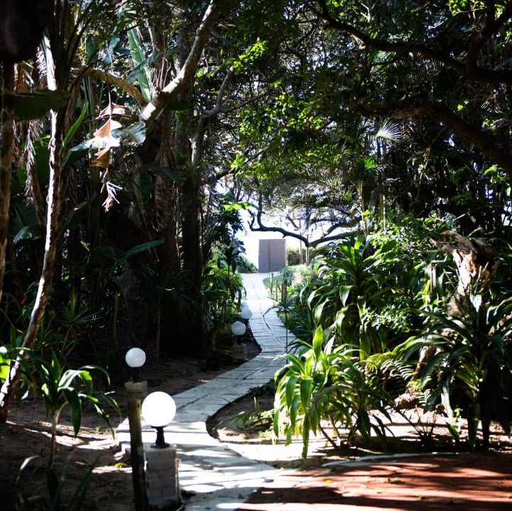 Photo of Others in Shelly Beach