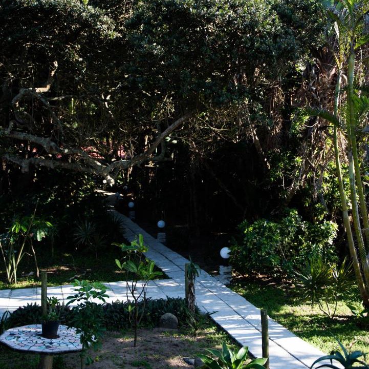 Photo of Others in Shelly Beach