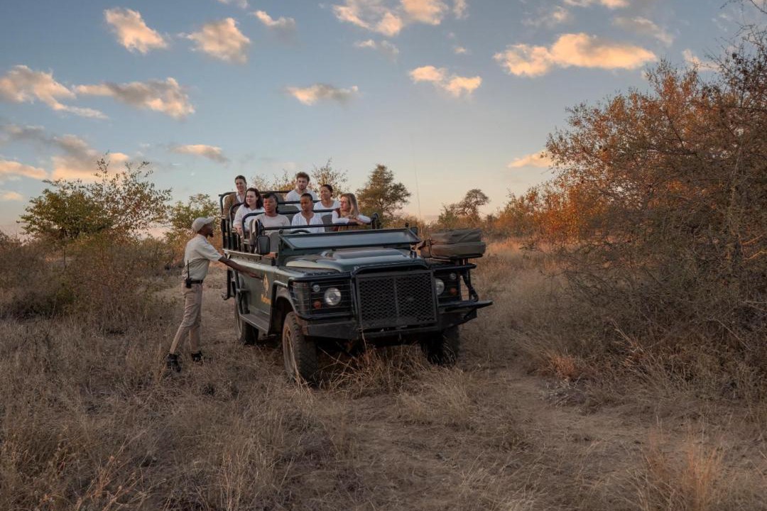 Photo of Others in Kruger National Park