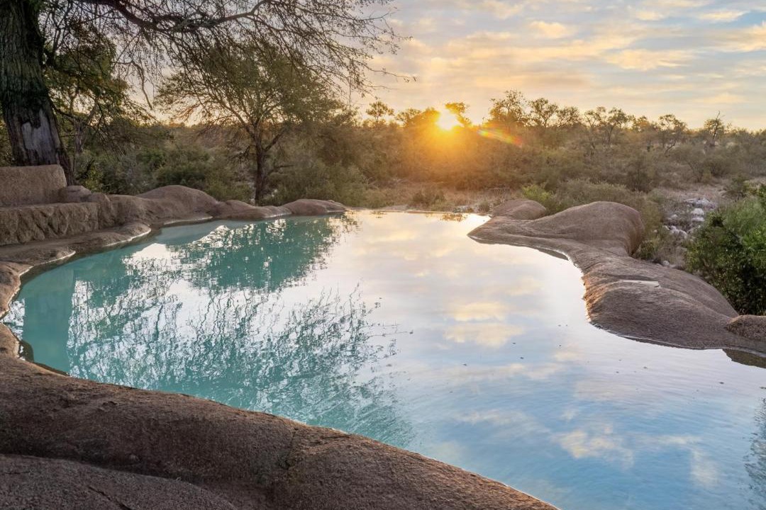 Photo of Others in Kruger National Park