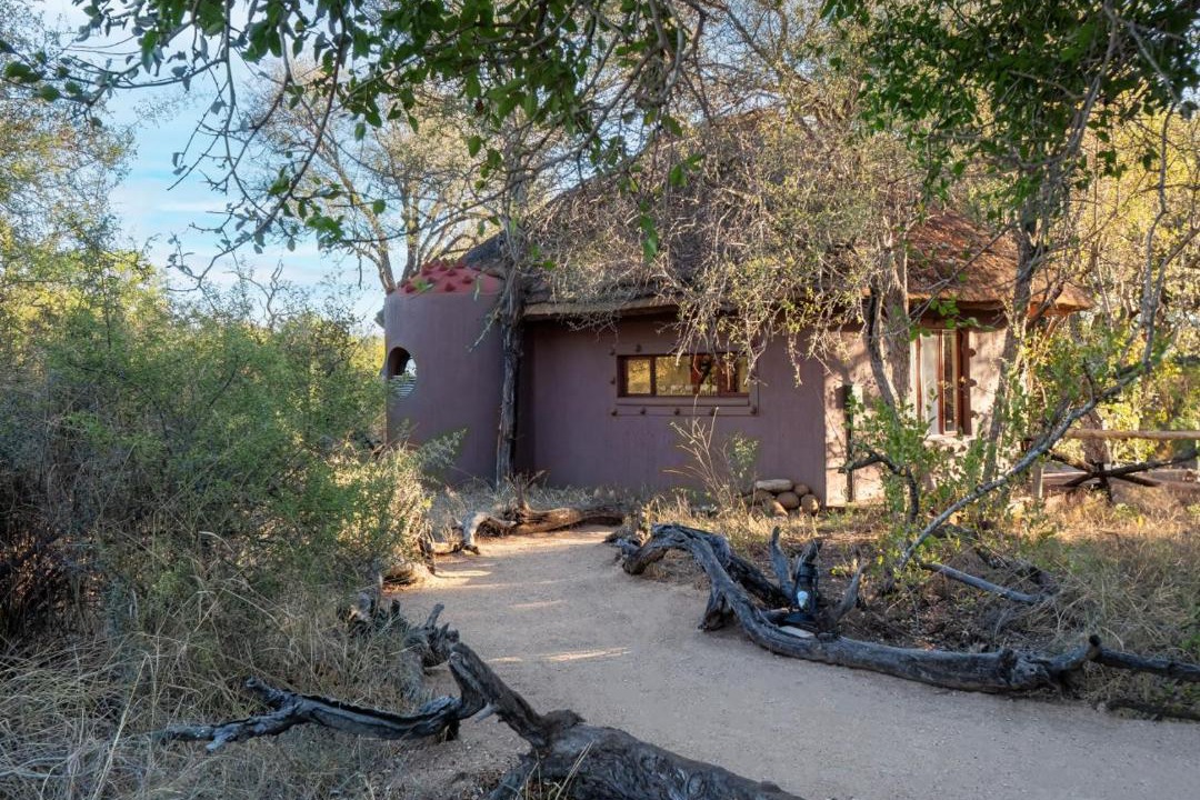 Photo of Others in Kruger National Park