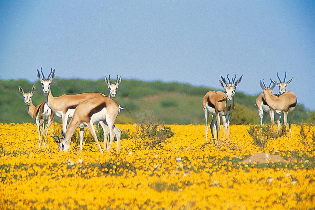 Photo of Others in Clanwilliam