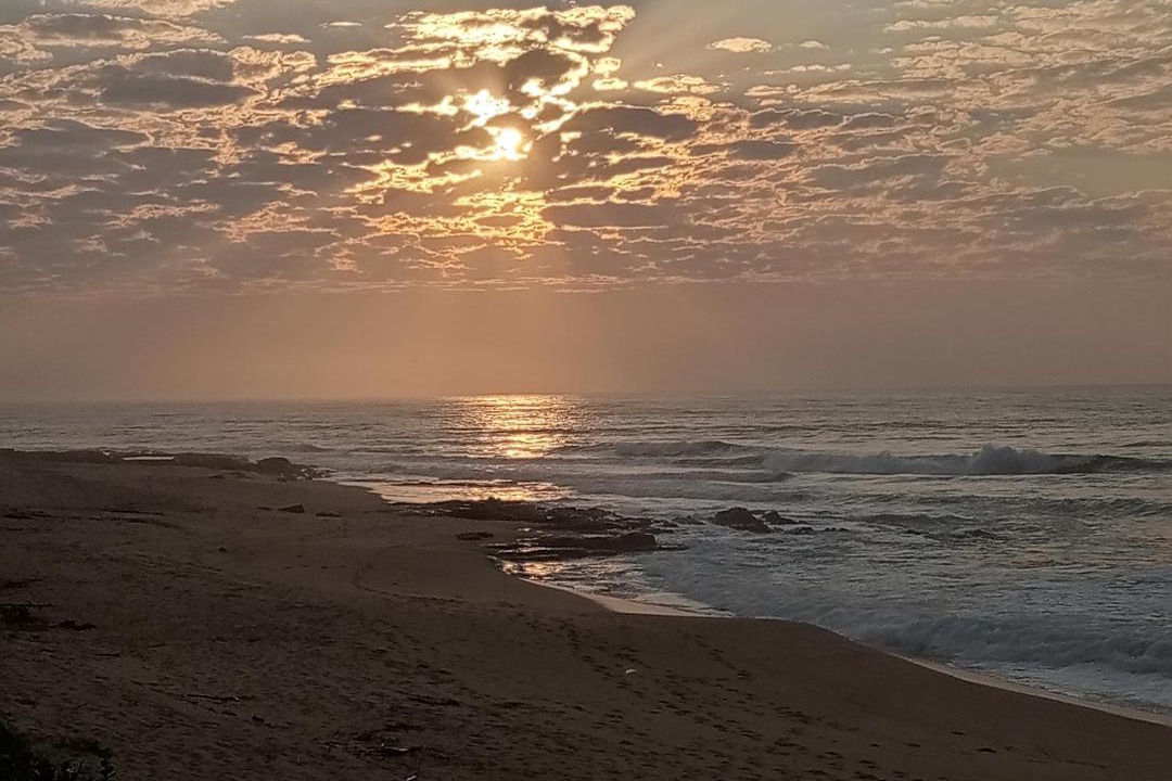 Photo of Others in Shelly Beach