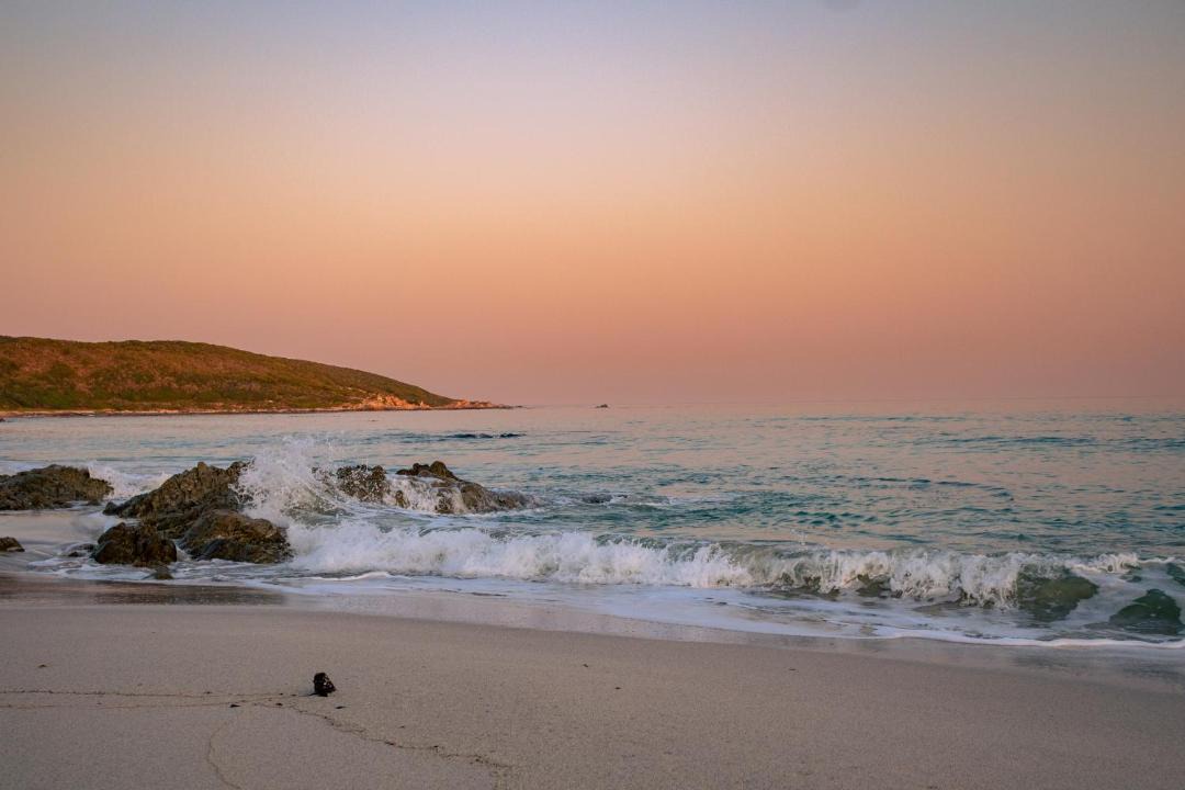 Photo of Others in Gansbaai
