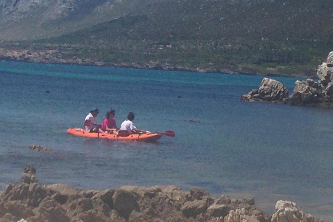 Photo of Others in Pringle Bay