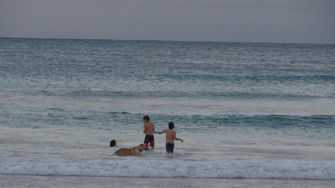 Photo of Others in Pringle Bay