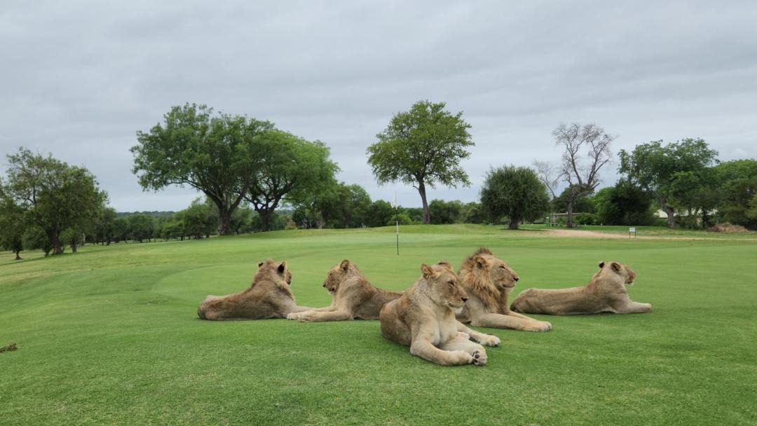 Photo of Others in Ehlanzeni