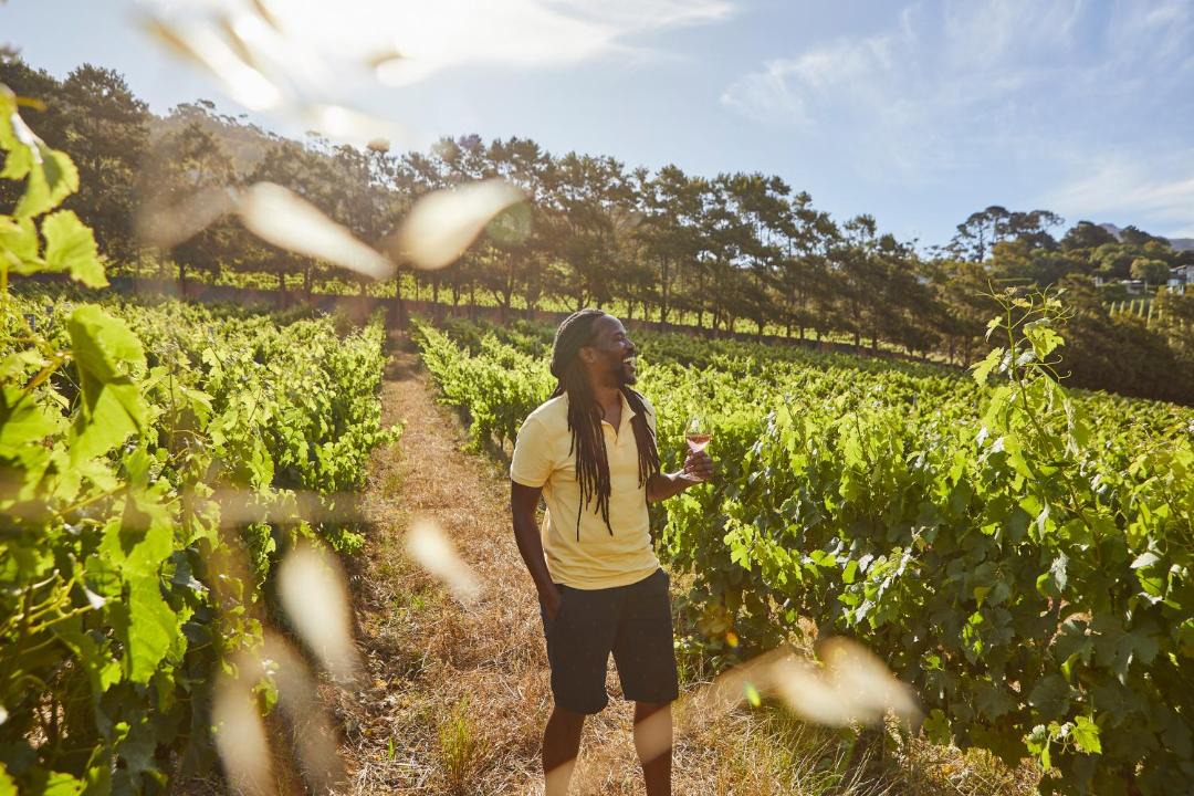 Photo of Others in Stellenbosch