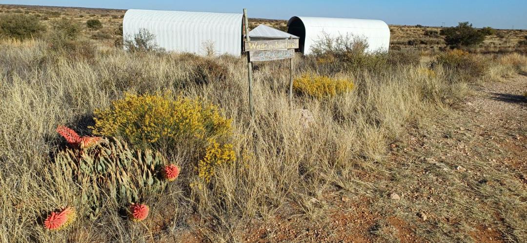 Photo of Others in Orania