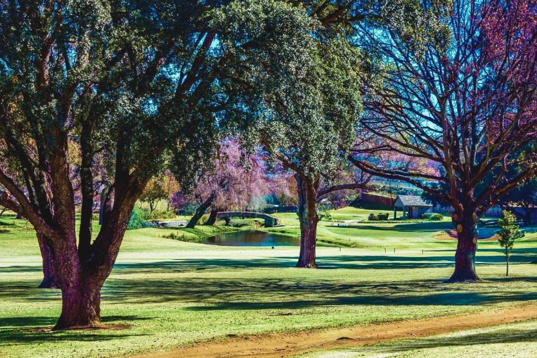 Photo of Others in Edenvale