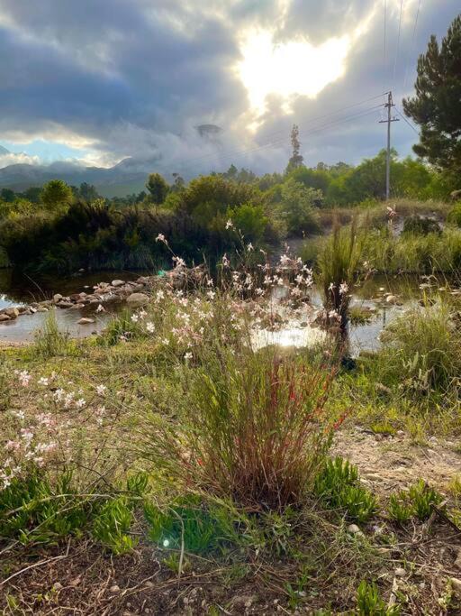 Photo of Others in Greyton