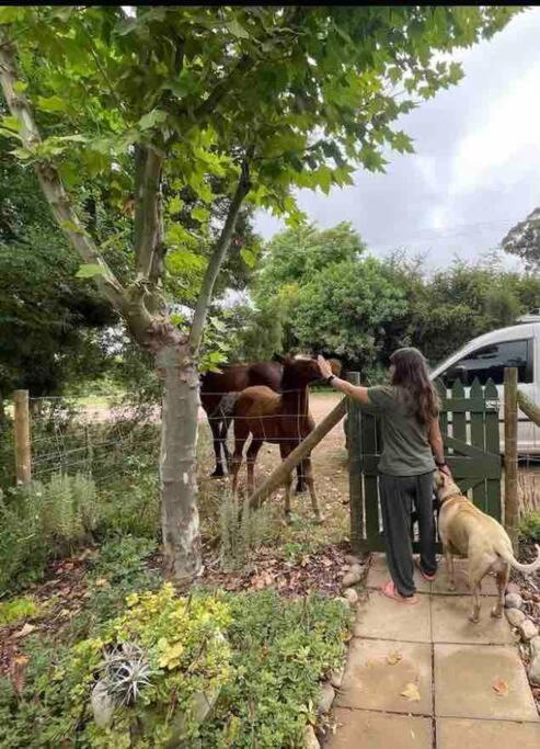Photo of Others in Greyton