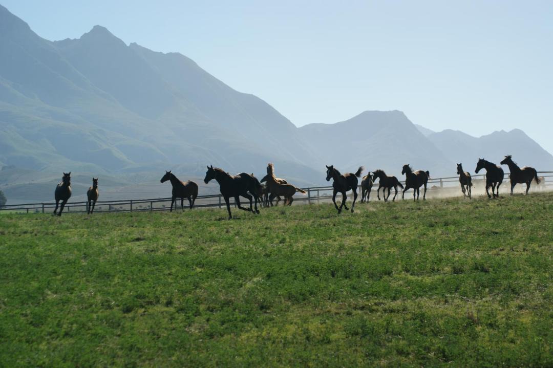 Photo of Others in Boesmanspad
