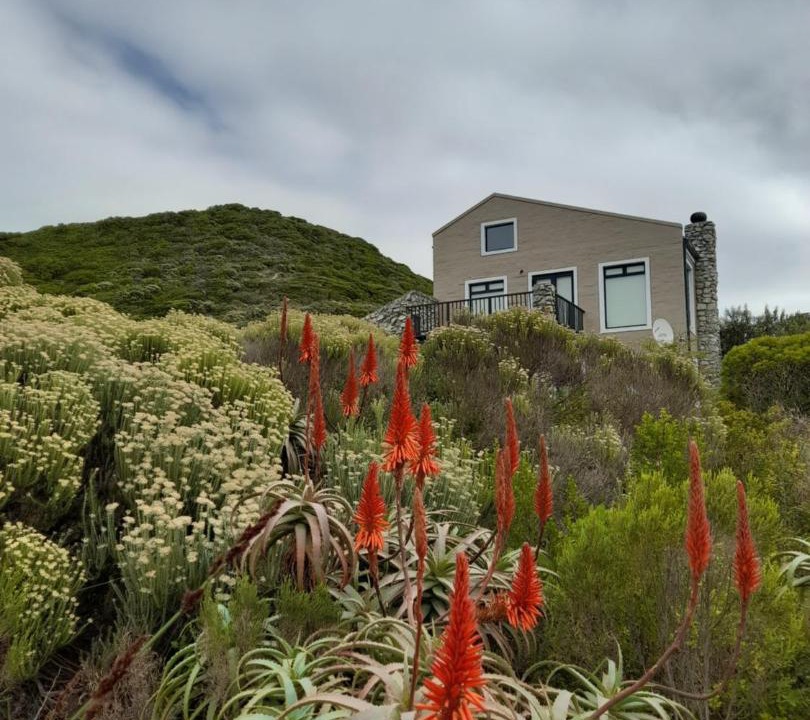 Photo of Others in Betty's Bay