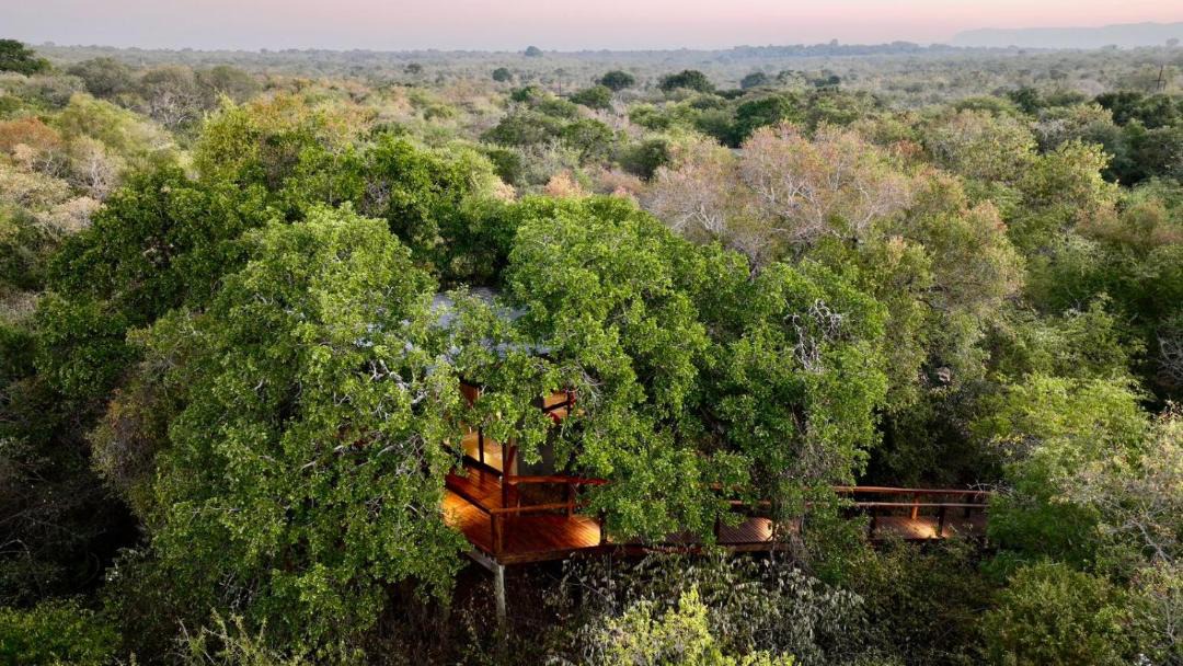 Photo of Others in Thorny Bush Game Reserve