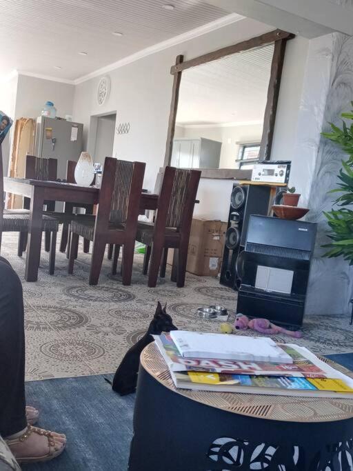 Photo of Others in Gansbaai
