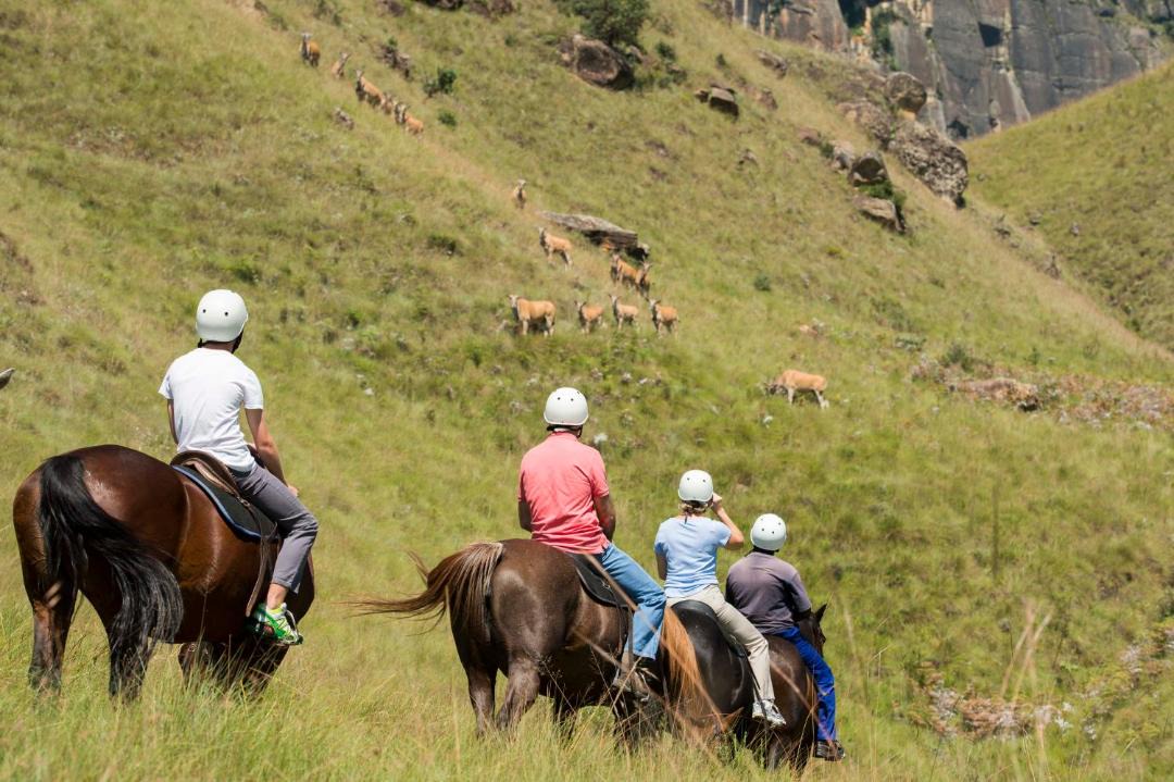 Photo of Others in Giant's Castle Game Reserve