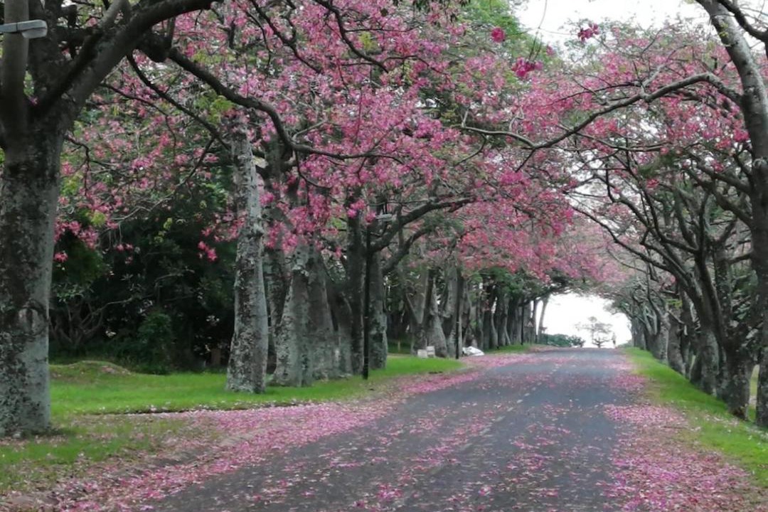 Photo of Others in Richards Bay