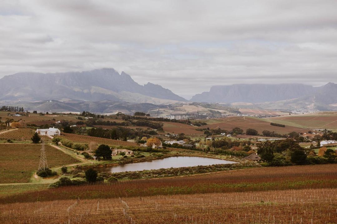 Photo of Others in Stellenbosch