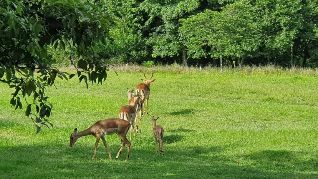 Photo of Others in Assagay
