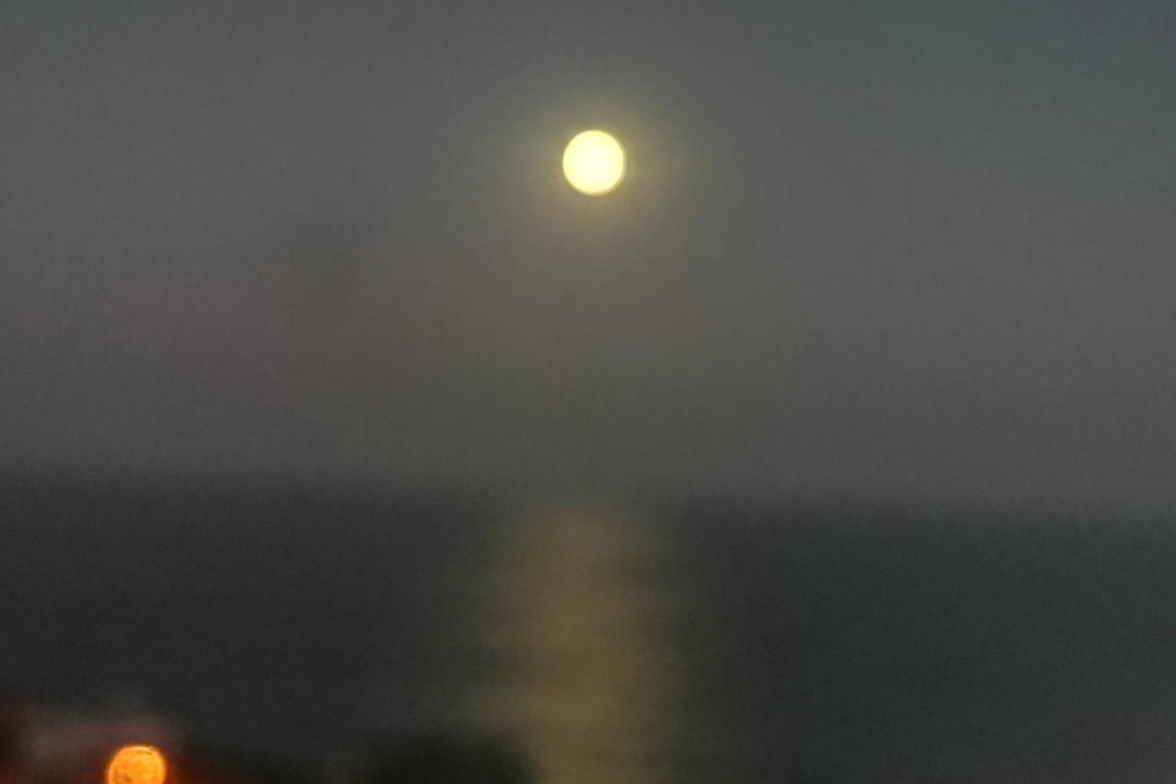 Photo of Others in Bluff