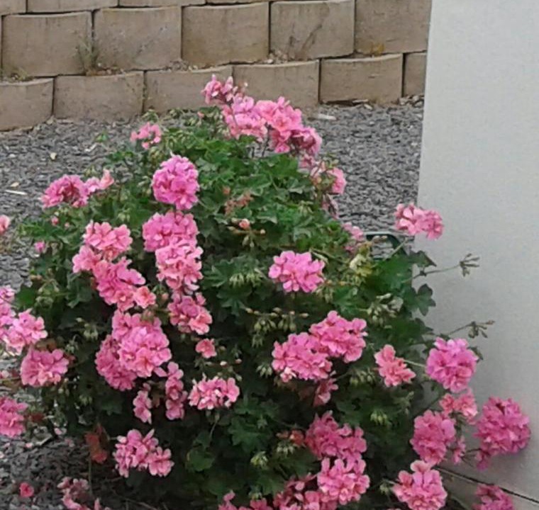 Photo of Others in Durbanville