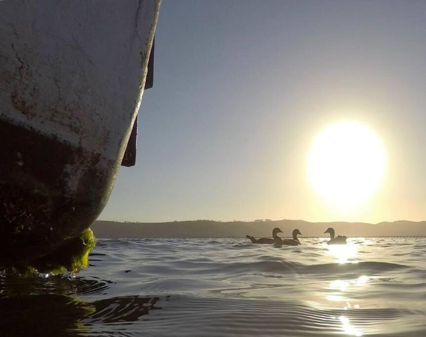 Photo of Others in Knysna