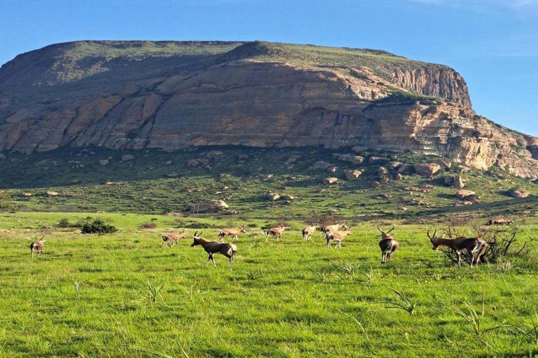 Photo of Others in Maluti a Phofung
