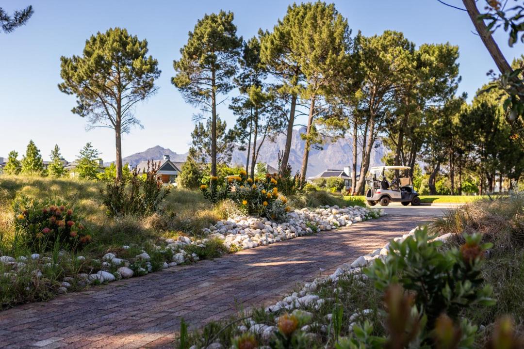 Photo of Others in Cape Winelands