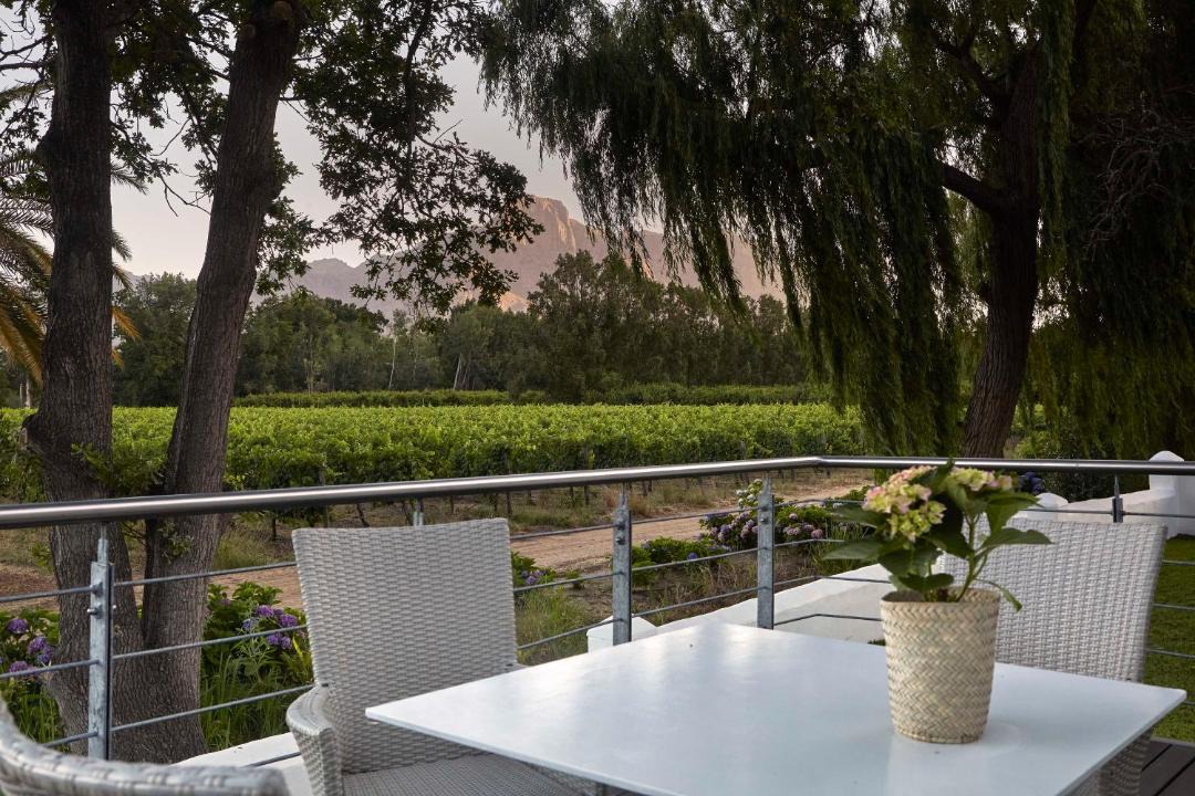 Photo of Others in Cape Winelands