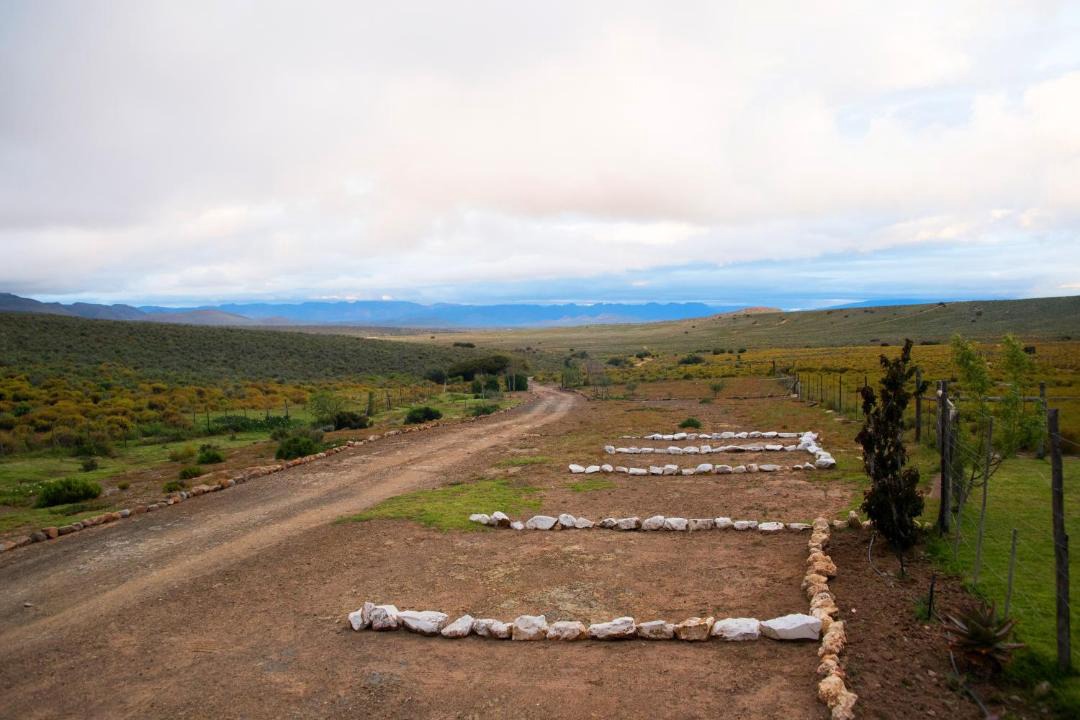 Photo of Others in Langeberg