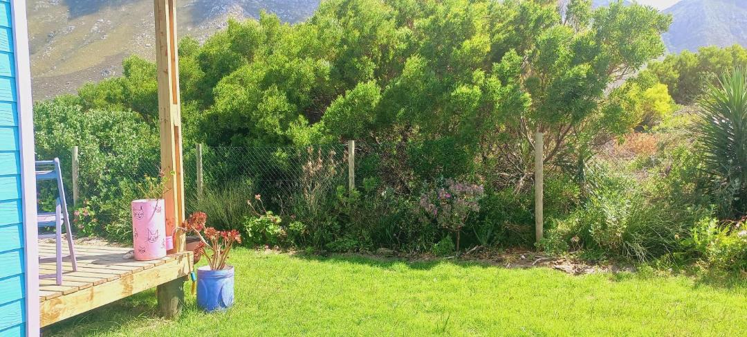 Photo of Others in Betty's Bay