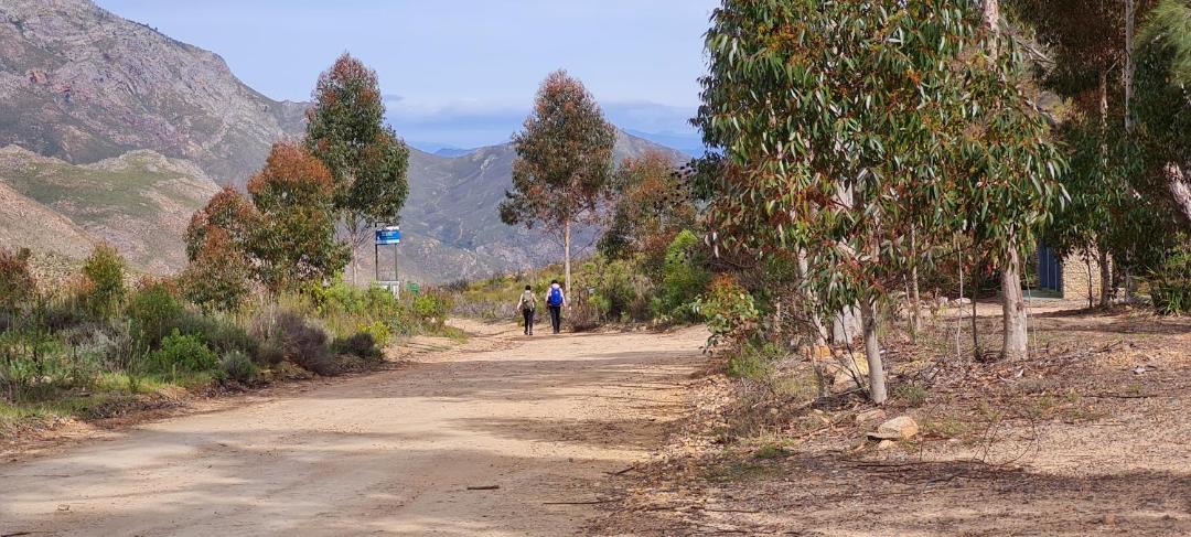Photo of Others in McGregor