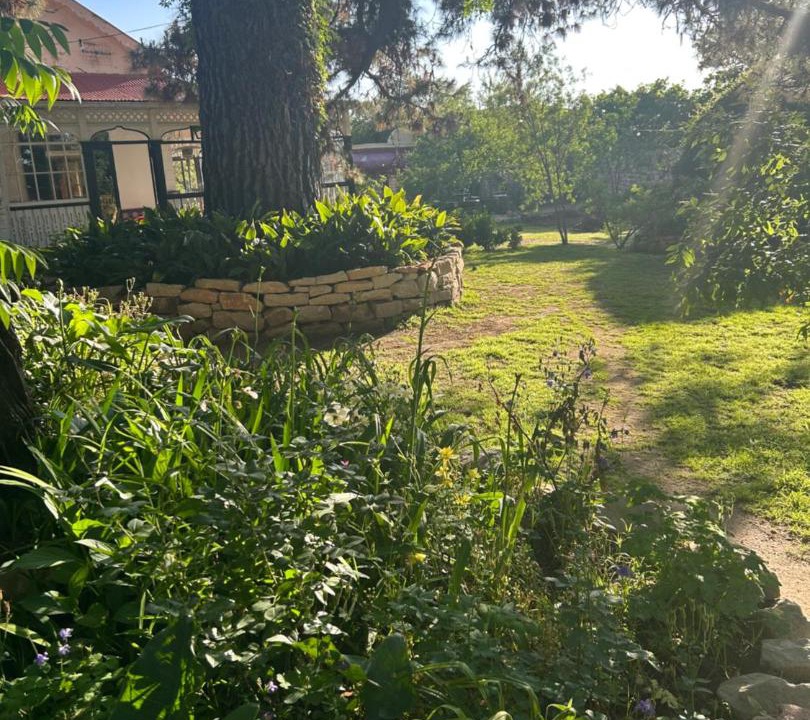 Photo of Others in Ficksburg
