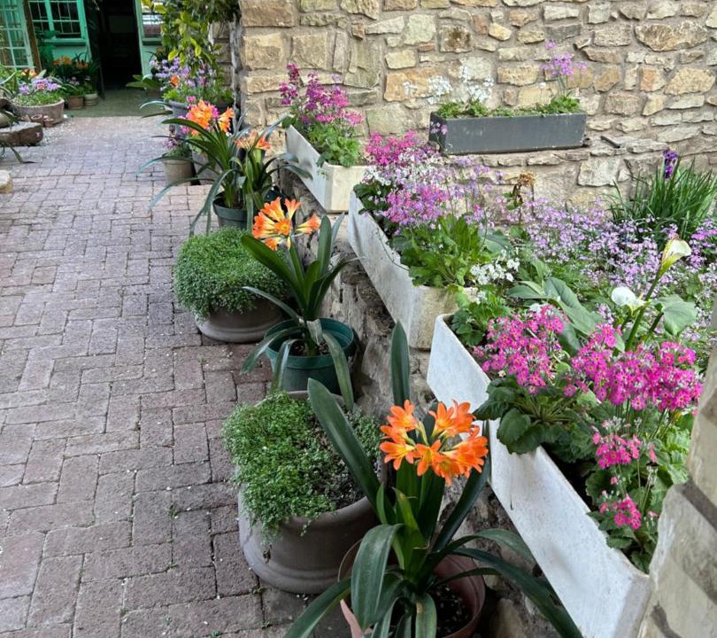 Photo of Others in Ficksburg