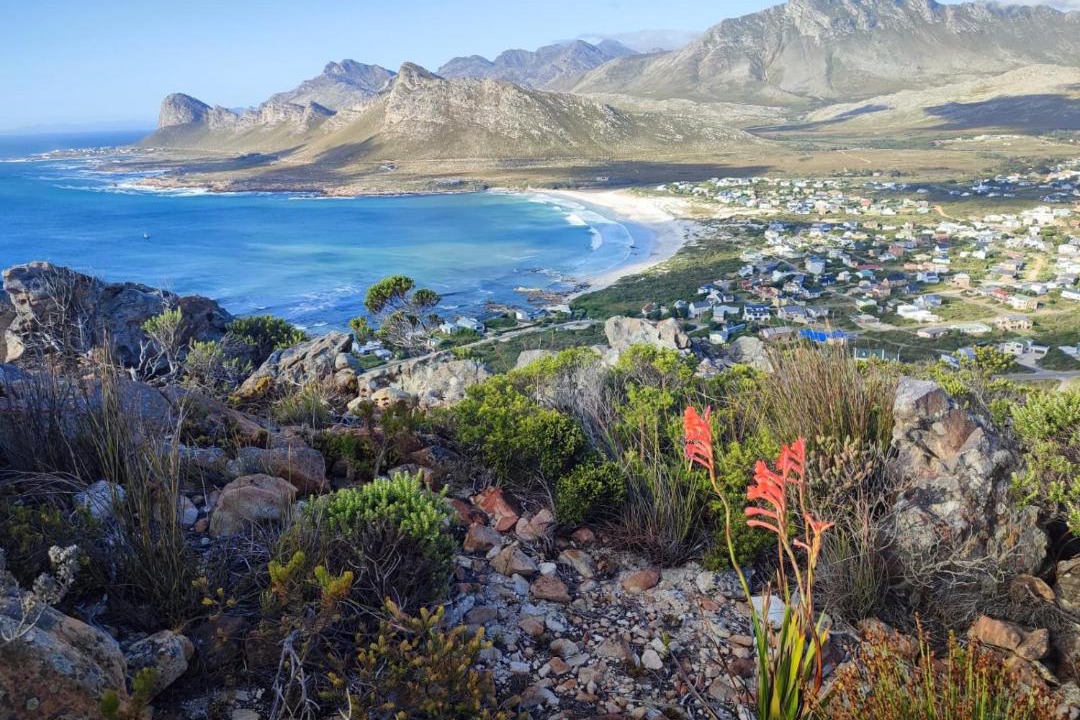 Photo of Others in Pringle Bay