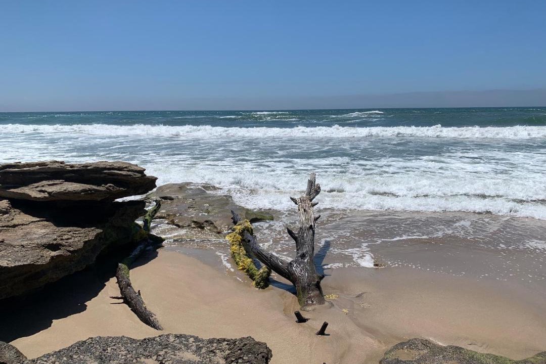 Photo of Others in Vleesbaai