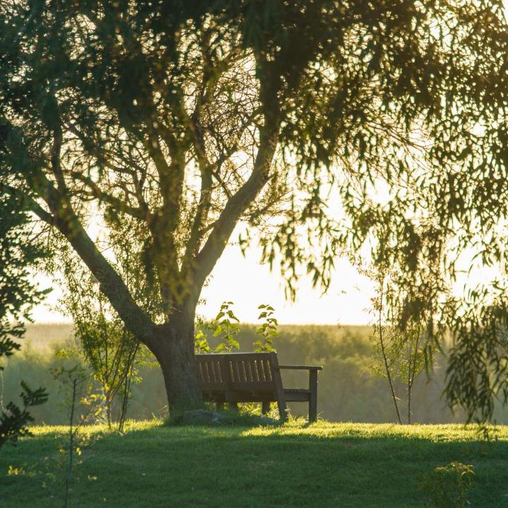 Photo of Others in McGregor Private Nature Reserve