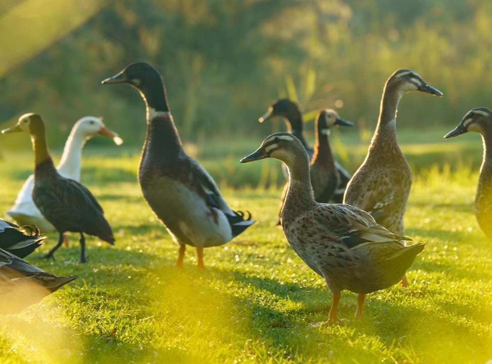 Photo of Others in McGregor Private Nature Reserve
