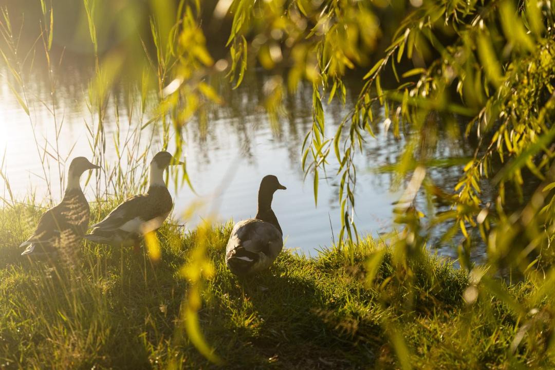 Photo of Others in McGregor Private Nature Reserve