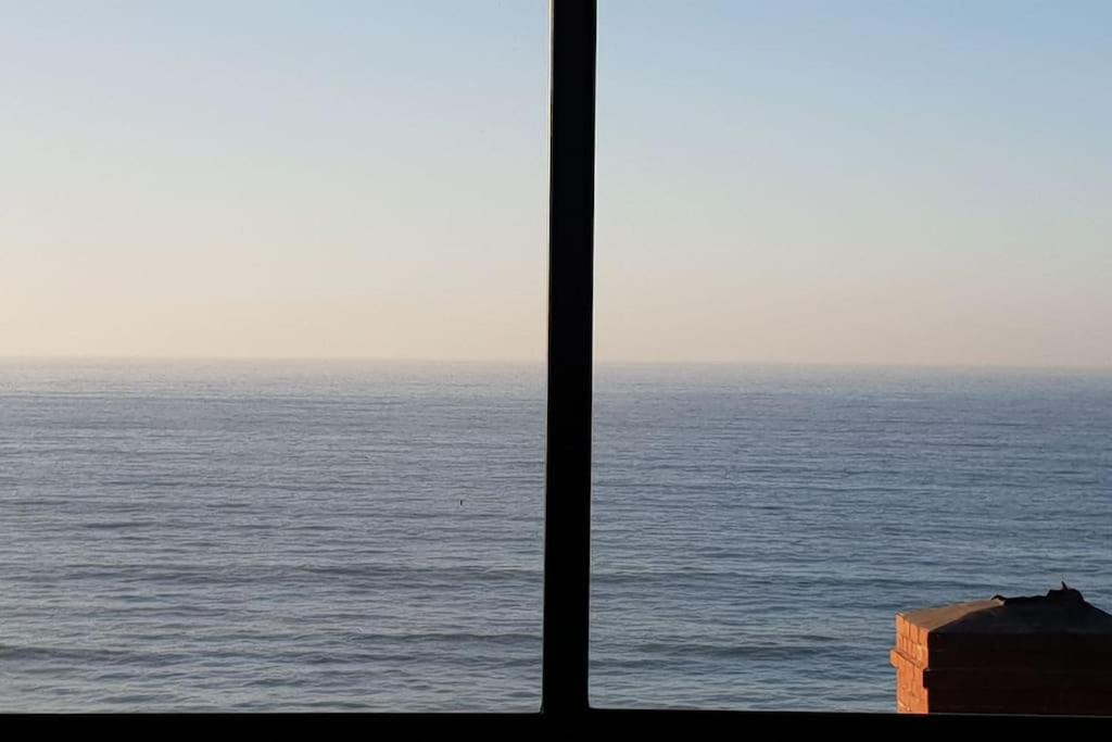 Photo of Others in Kalk Bay